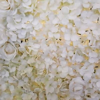 Mur Floral Blanc 240x240cm